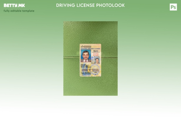 Модерен стил САД Луизијана под шаблон за фото изглед на возачка дозвола